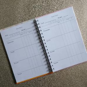 A page a day SW food diary